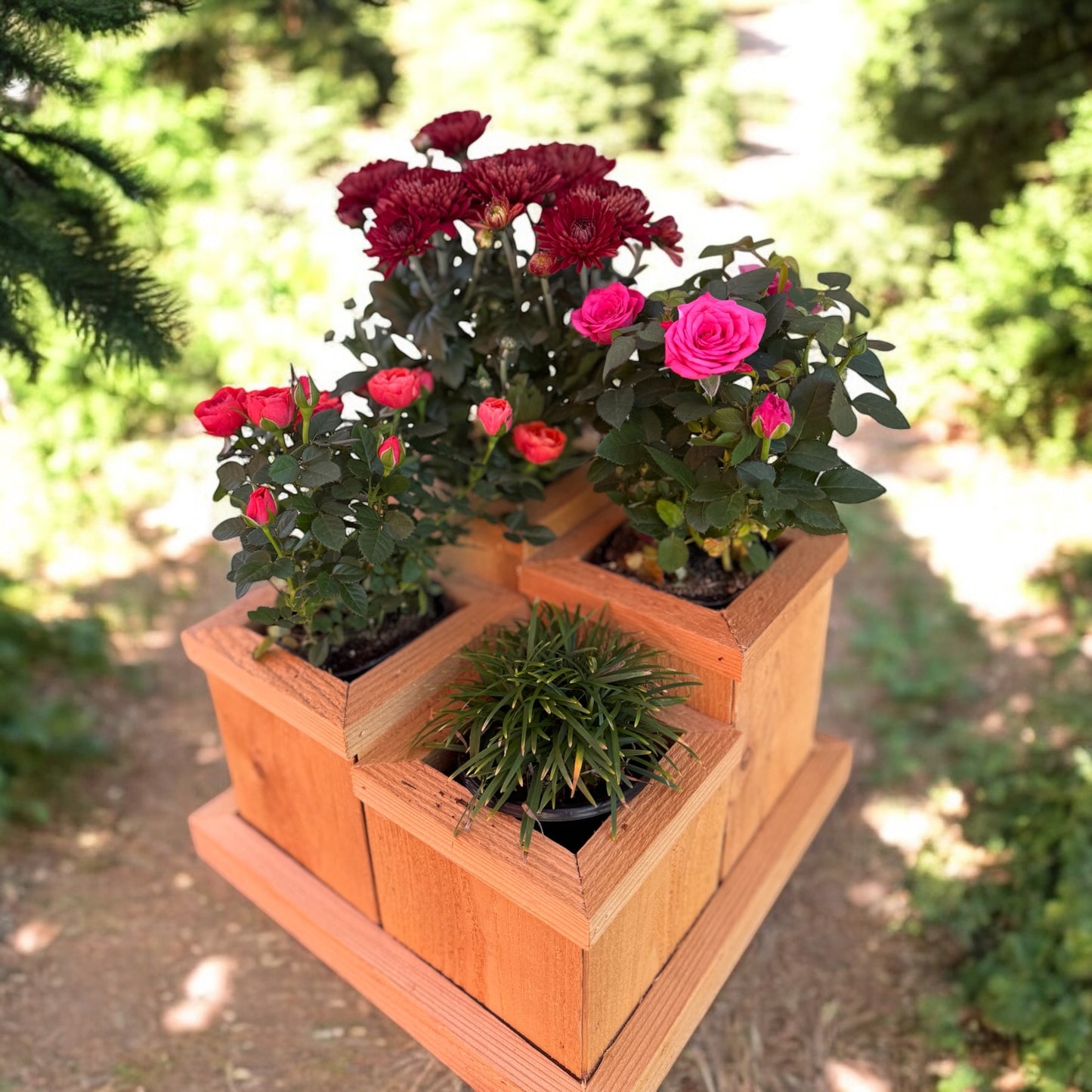 Cedar Wood Planter/ Herb Garden