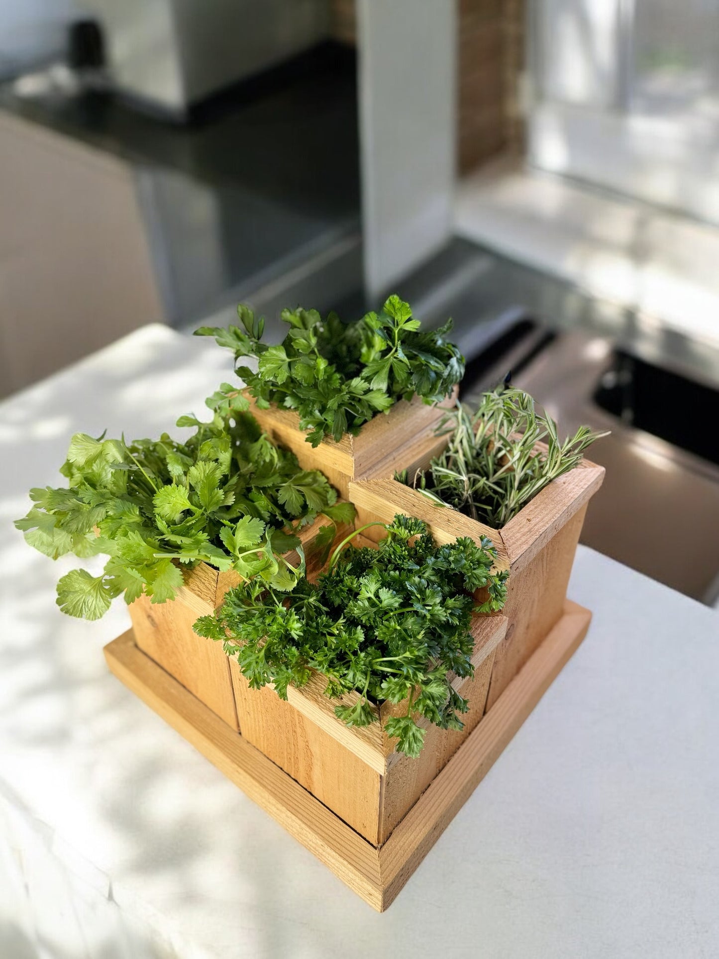 Cedar Wood Planter/ Herb Garden